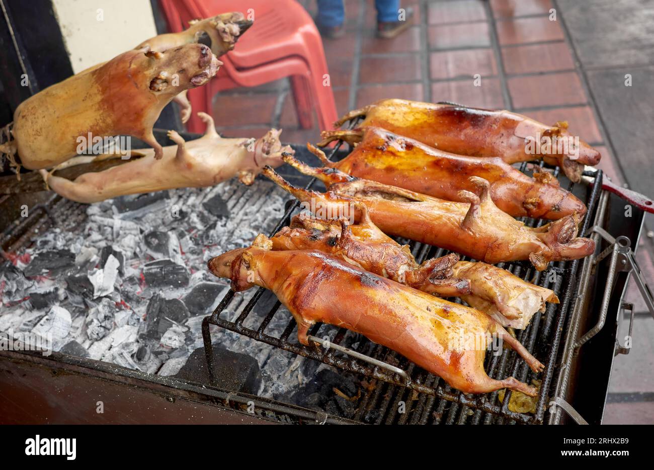 Foto ravvicinata di porcellini d'India arrostiti su una griglia, messa a fuoco selettiva, Banos, Ecuador. Foto Stock
