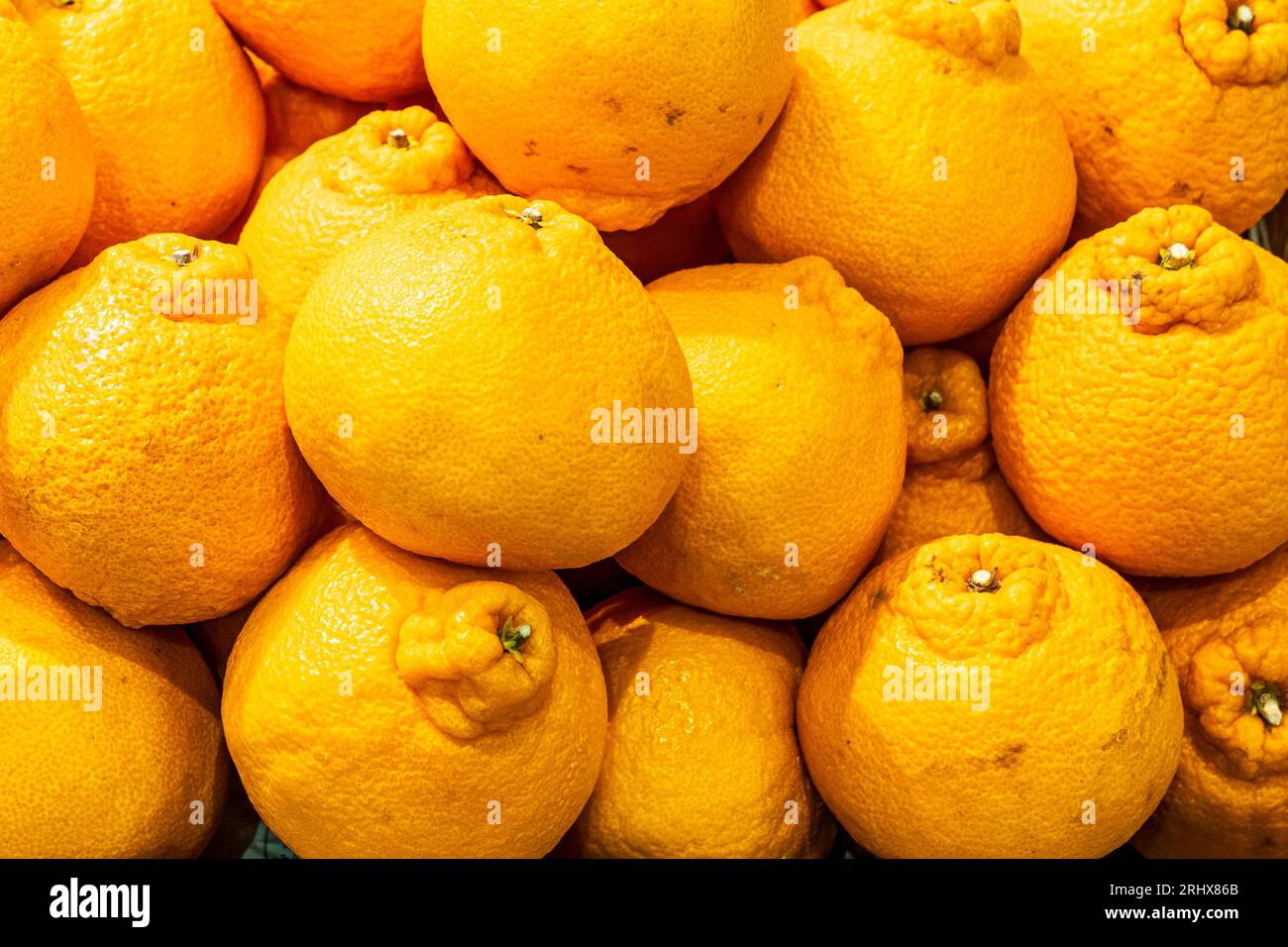 Primo piano di arance fresche su una bancarella fuori da un negozio di alimentari in Giappone. Foto Stock