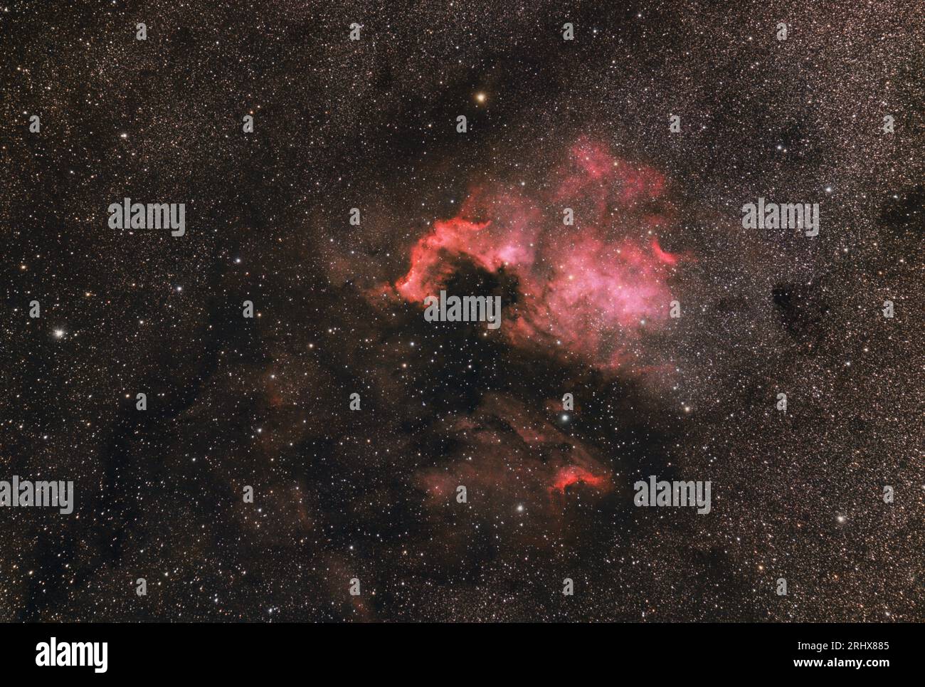 NGC 7000 North America Nebula scattata attraverso un obiettivo da 300 mm e una fotocamera mirrorless Nikon Z7 montata su un supporto equatoriale EQ-5 Foto Stock