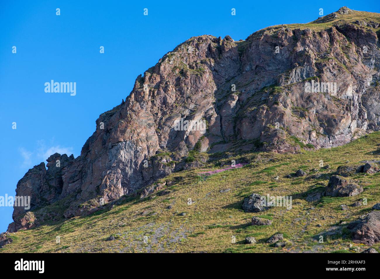 Splendido paesaggio mattutino con prato verde Foto Stock