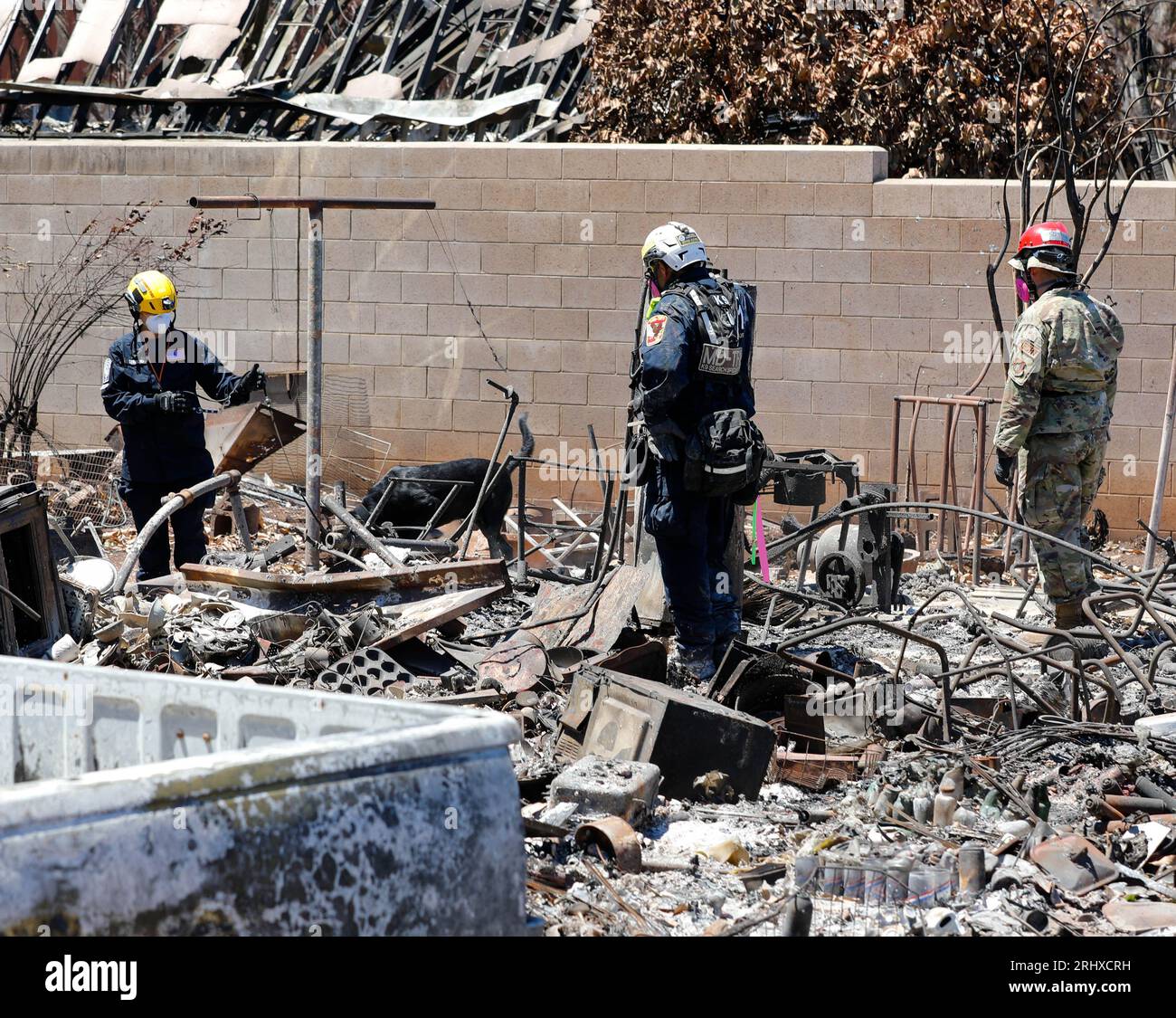 Joint Task Force 50 (JTF-50) elementi di ricerca, salvataggio e recupero conducono operazioni di ricerca di aree danneggiate da incendi boschivi a Lahaina, Maui, 18 agosto 2023. I membri del JTF-50 dell'esercito delle Hawaii e dell'Air National Guard, U.S. Army Active Duty e Reserve stanno attivamente sostenendo le autorità della contea di Maui per fornire sicurezza, sicurezza e benessere immediati alle persone colpite dagli incendi per garantire un sostegno costante alla comunità di Maui e ai primi soccorritori. (US Army National Guard foto di SPC. Sean Walker) Foto Stock