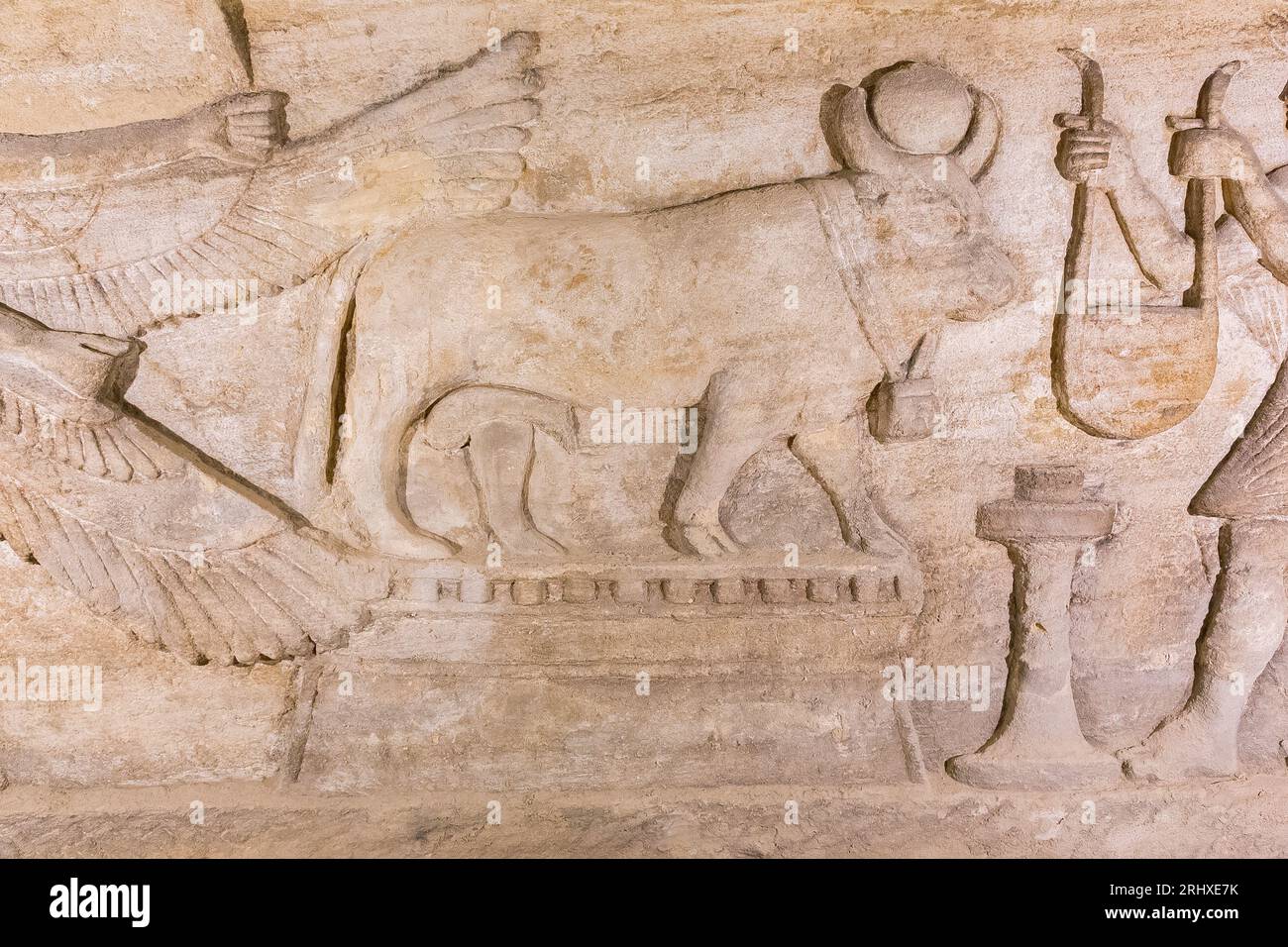 Necropoli di Kom el Shogafa, tomba principale, stanza principale, nicchia sinistra, scena centrale: Apis toro. Foto Stock