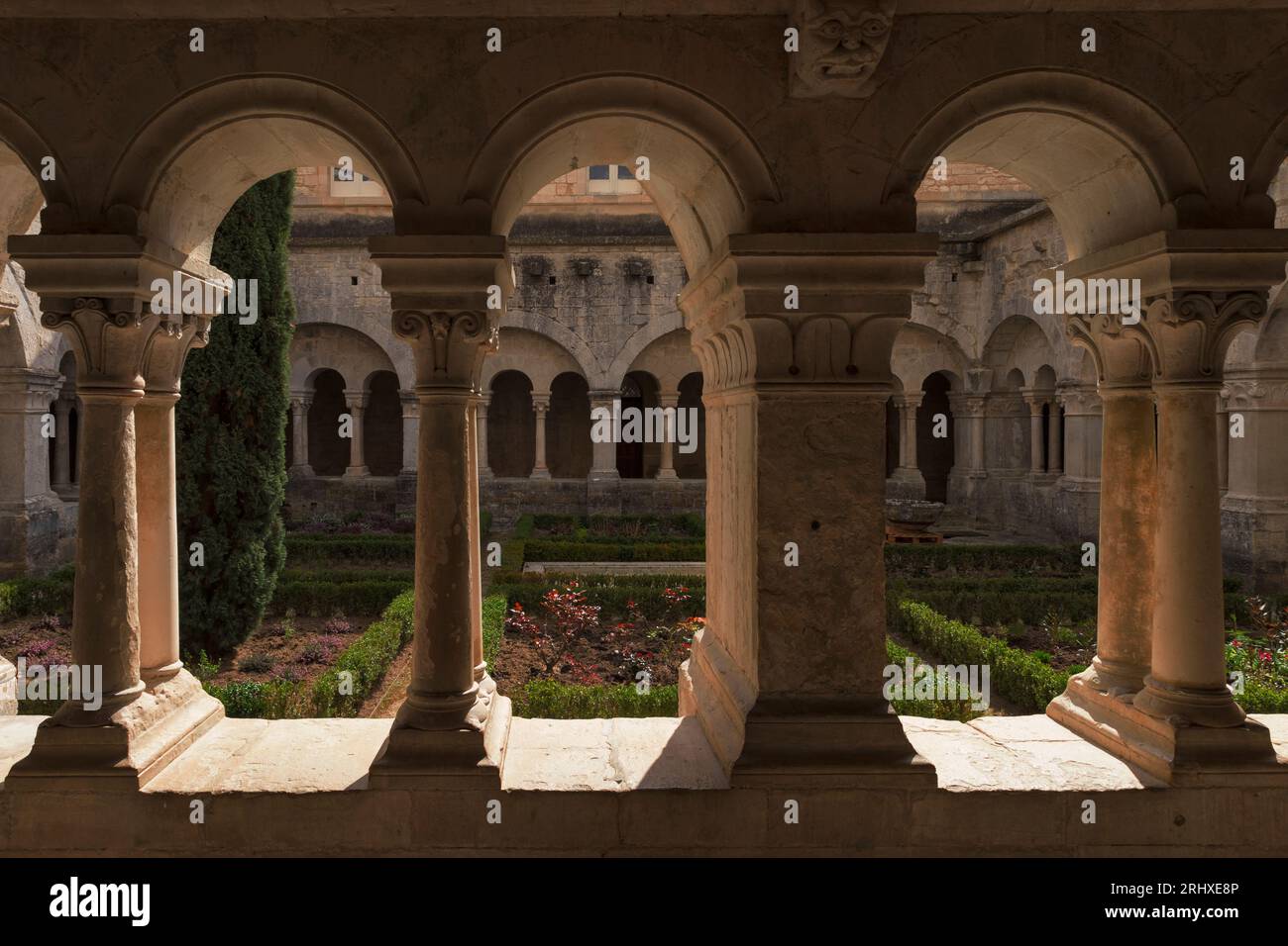 Chiostro dell'Abbazia di Sénanque, Provenza, Francia Foto Stock