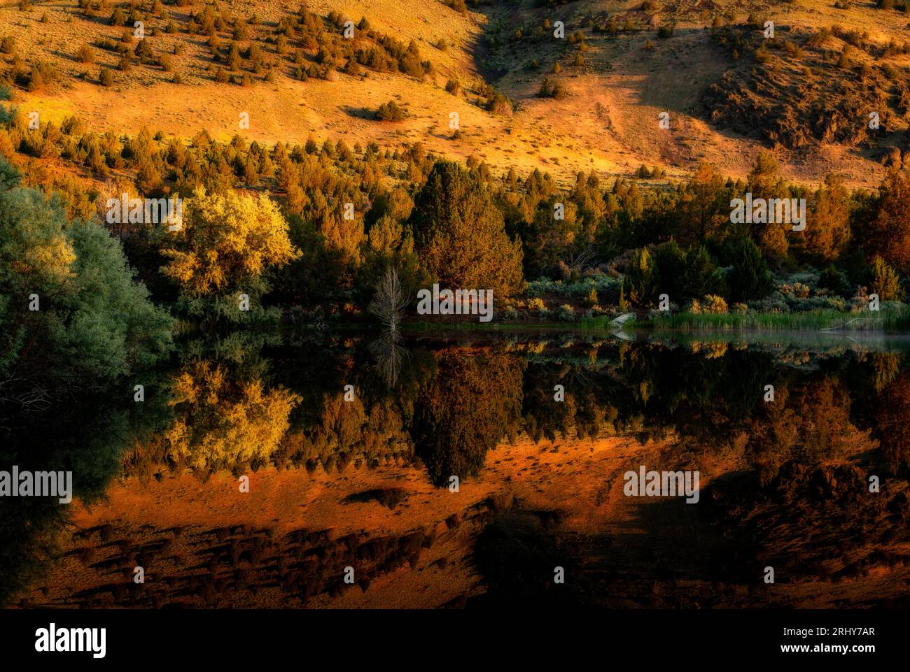 Lo stagno presso il Summer Lake Lodge riflette la collina circostante, illuminata dal sole che sorge. Foto Stock