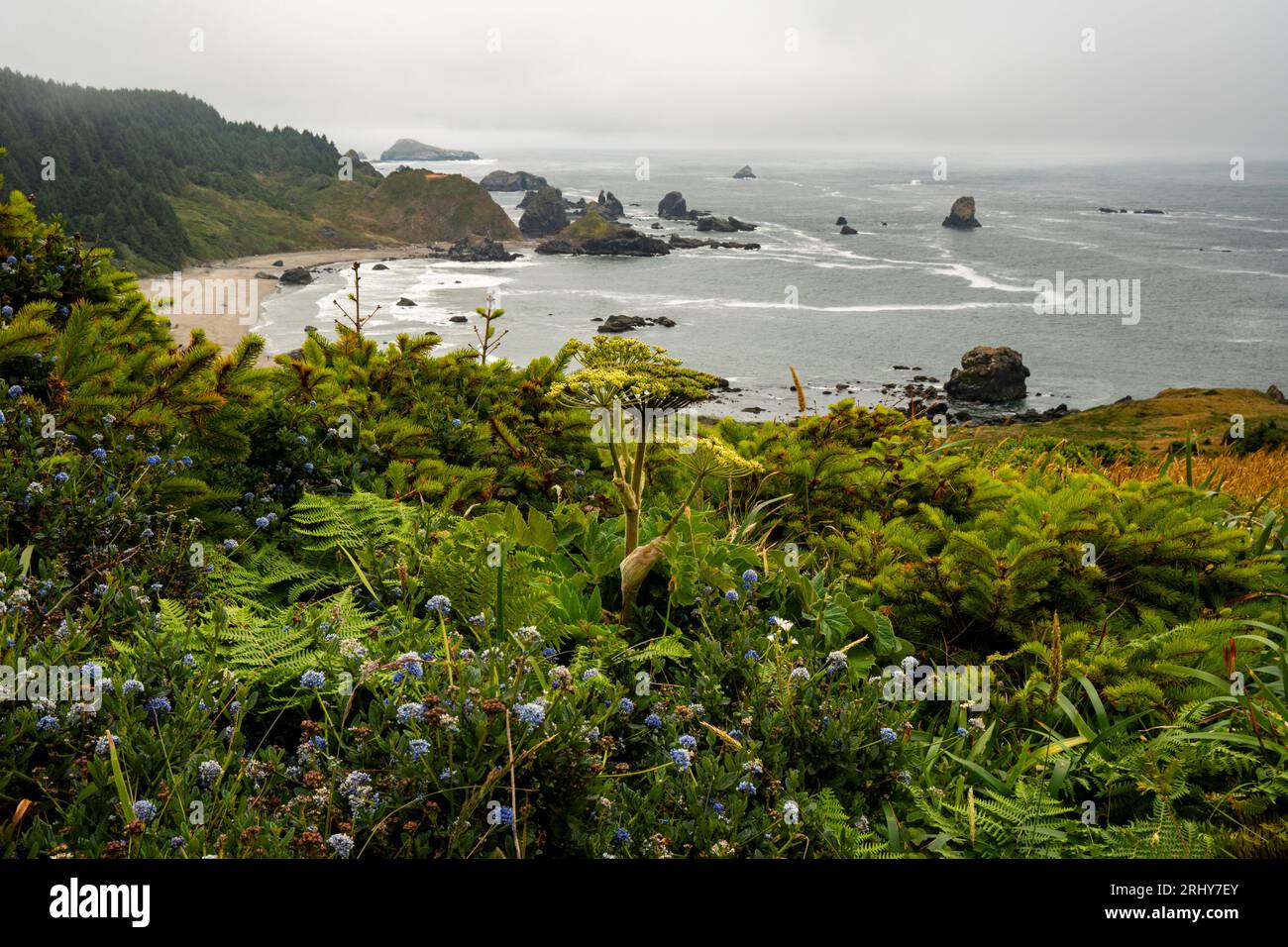 Guardando a sud da Cape Ferrelo verso Lone Ranch Beach Foto Stock