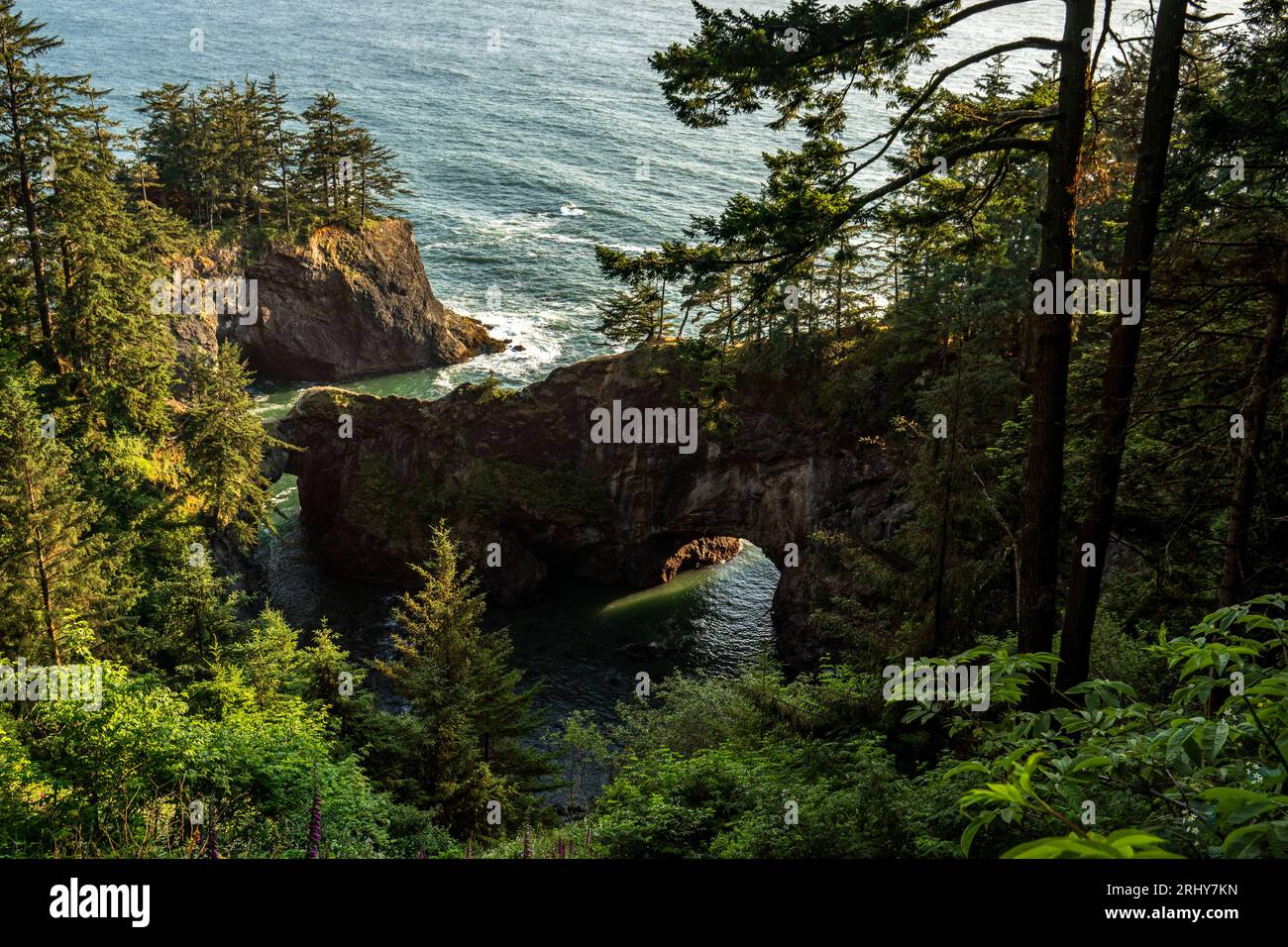 Ponti naturali presso il Samuel Boardman State Park dell'Oregon Foto Stock