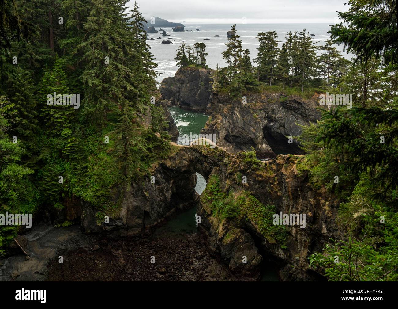 Ponti naturali al Samuel Boardman State Park Foto Stock