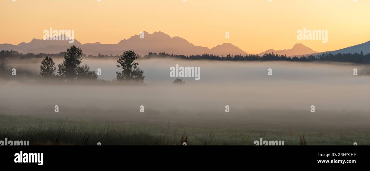 Nebbia sui campi, le montagne sullo sfondo in una mattina d'estate nella Valle del fiume Lowel fuori Snohomish e Everett Washington Foto Stock