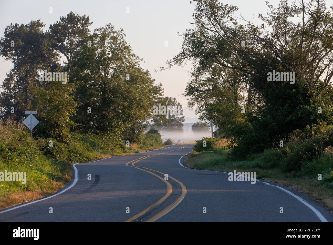 Homeacres Road a Snohomish si snoda nella nebbia mattutina Foto Stock
