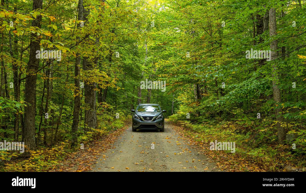 Autumn Exploration - Un moderno SUV che esplora una stretta strada di campagna in una fitta foresta in una soleggiata mattinata autunnale. MT. Blue State Park, Weld, Maine. Foto Stock