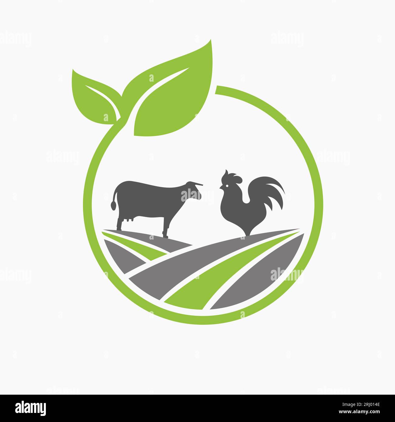 Concetto di design del logo agricolo con icona mucca e gallo. Modello simbolo logotipo agricoltura Illustrazione Vettoriale
