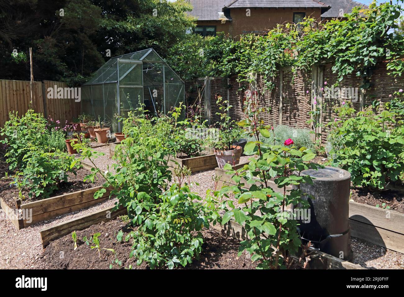 Piccolo giardino con letti rialzati e serra Foto Stock