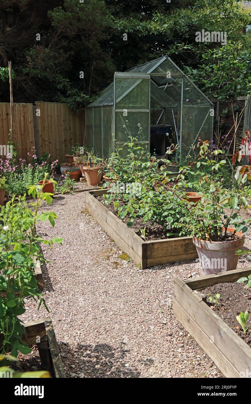 Piccolo giardino con letti rialzati e serra Foto Stock
