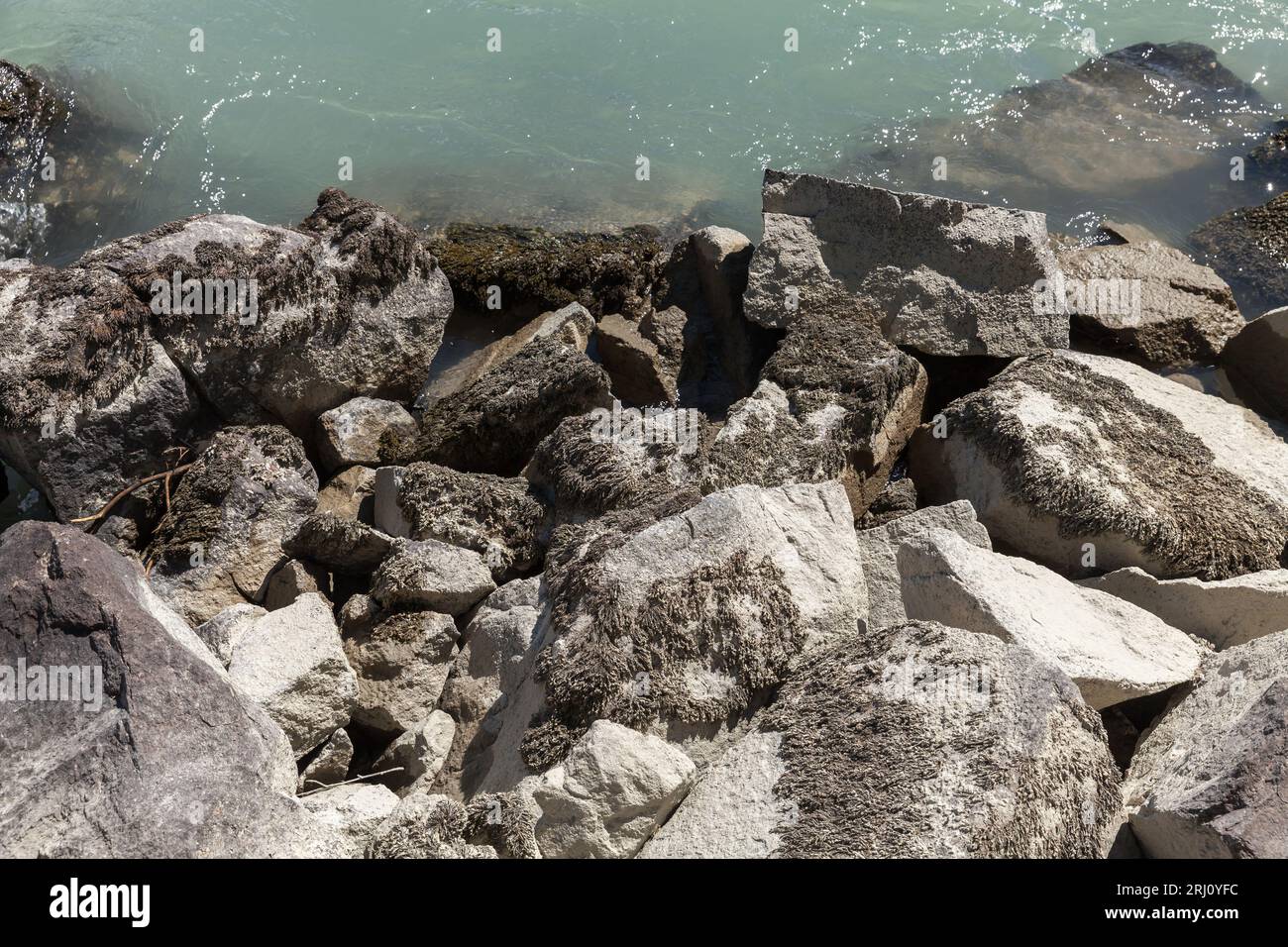 Rocce costiere sulla costa del fiume Katun. Repubblica Altai, Russia Foto Stock