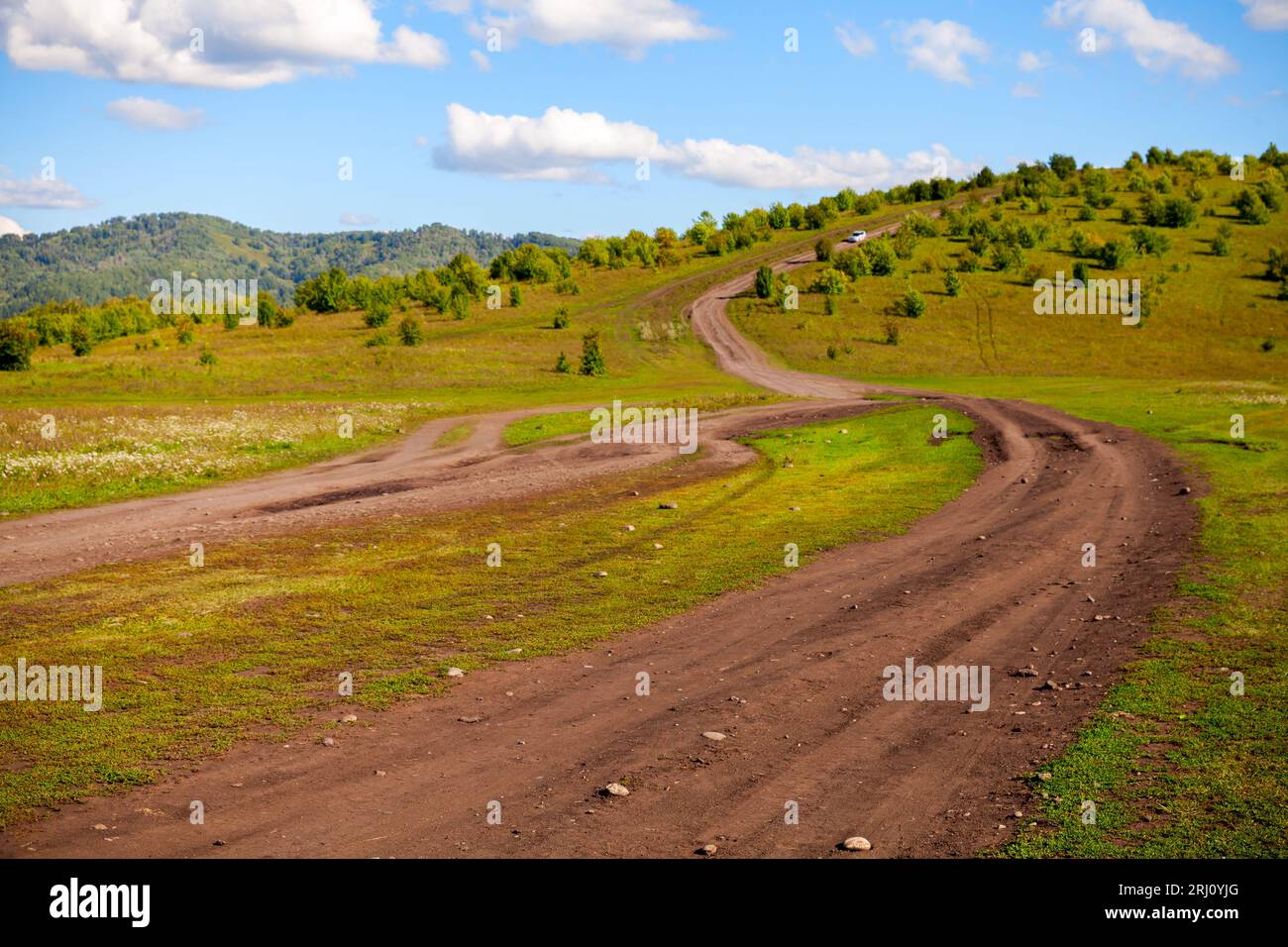 La strada rurale sale fino alla montagna in una soleggiata giornata estiva. Territorio di Altai, distretto di Altai, Russia Foto Stock