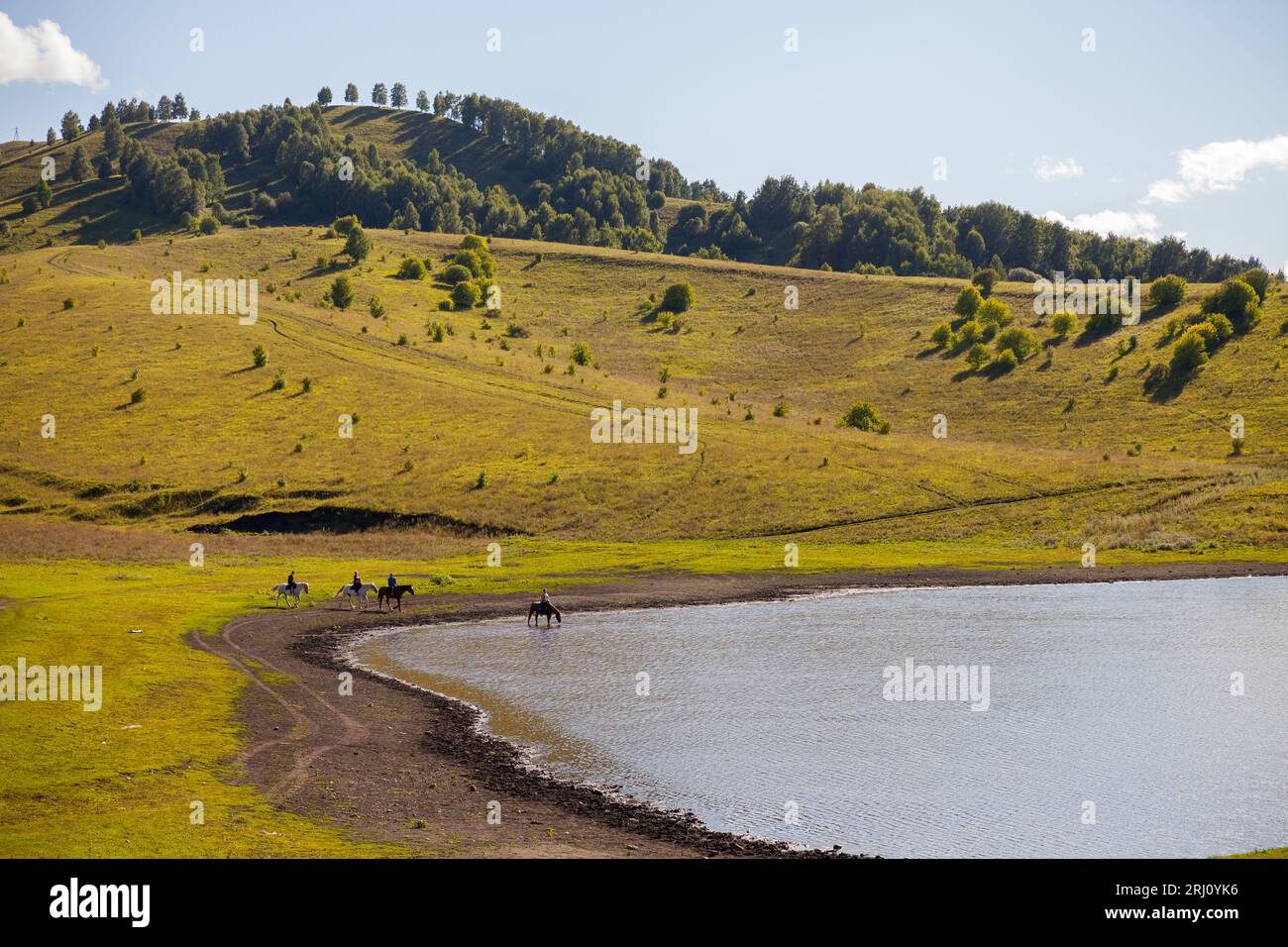 Paesaggio estivo con un lago sulle montagne di Altai in una giornata di sole, valle del fiume Katun. La gente cavalca i cavalli sulla costa Foto Stock