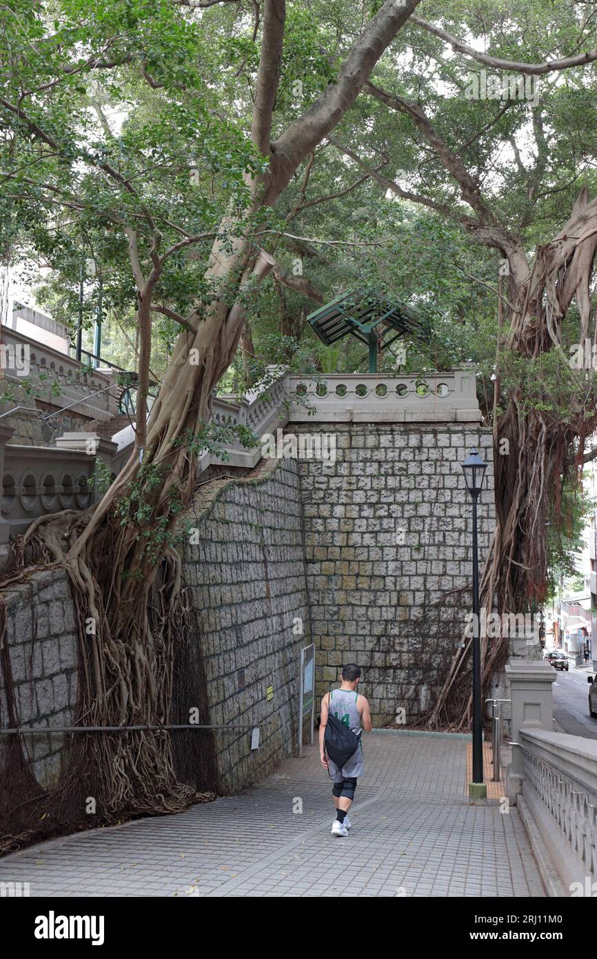 King George V Memorial Park, Sai Ying Pun, Isola di Hong Kong 20 agosto 2023 Foto Stock