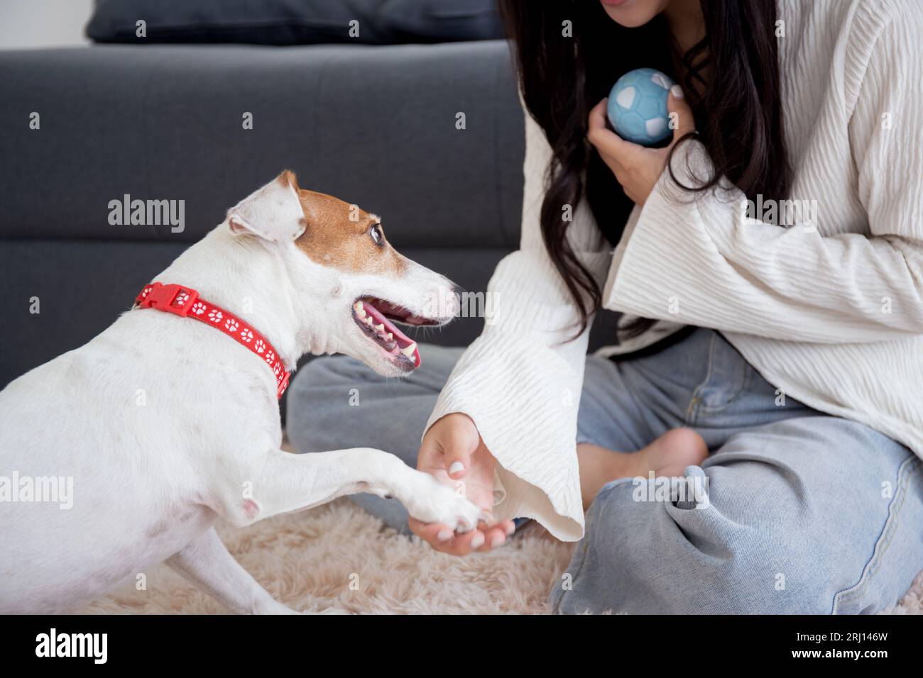 Giovane donna asiatica giocherellone con cane soffice per rilassarsi con amore nel soggiorno di casa, amici animali domestici con compagno, amicizia di donna e animale, Foto Stock