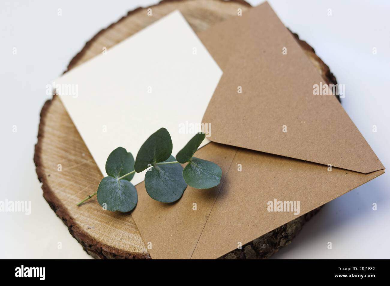 una scheda vuota su una busta marrone con foglie verdi sulla parte superiore di una tavola di legno Foto Stock