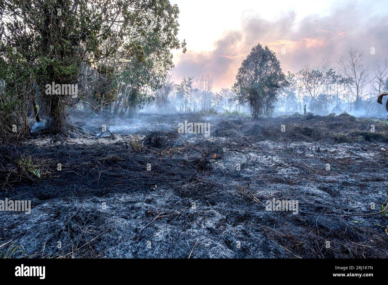 Palangkaraya. 20 agosto 2023. Questa foto scattata il 20 agosto 2023 mostra la terra bruciata e il fumo di un incendio di torbiere nel villaggio di Bukit Tunggal a Palangkaraya, Kalimantan centrale, Indonesia. Credito: Negare Krisbiantoro/Xinhua/Alamy Live News Foto Stock