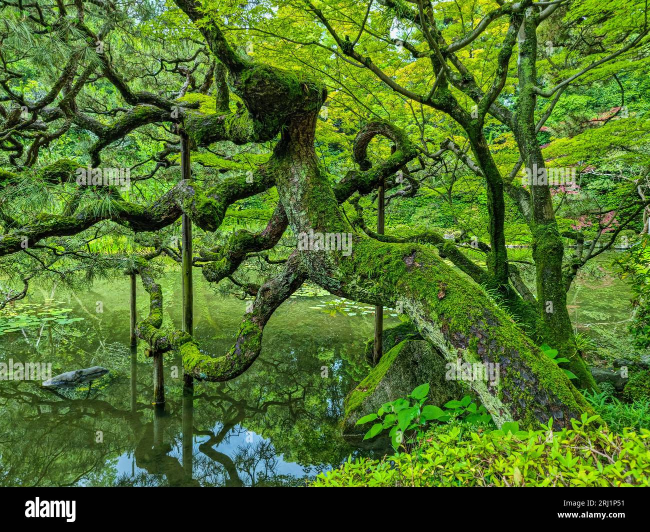 Vista panoramica nel bellissimo Santuario Heian a Kyoto. Giappone. Foto Stock