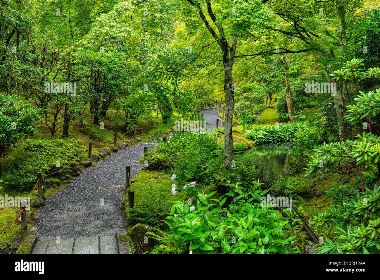 Vista panoramica nel bellissimo tempio Ryoan-ji di Kyoto. Giappone. Foto Stock