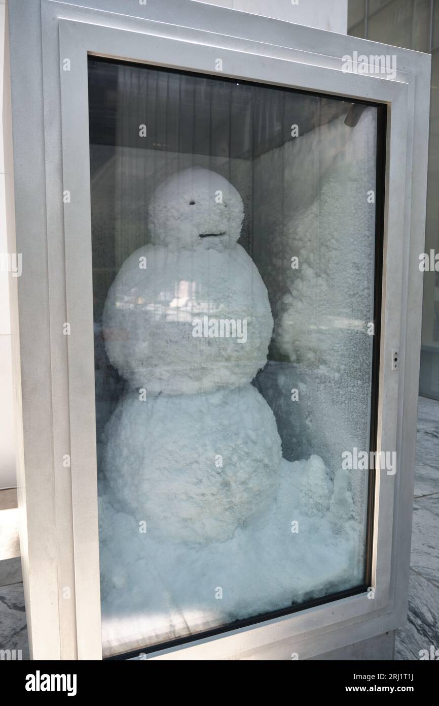 Pupazzo di neve di Peter Fischli Swiss Born 1952 e David Weis scultura in un frigorifero MOMA sculture Gardens NYC New York City Foto Stock