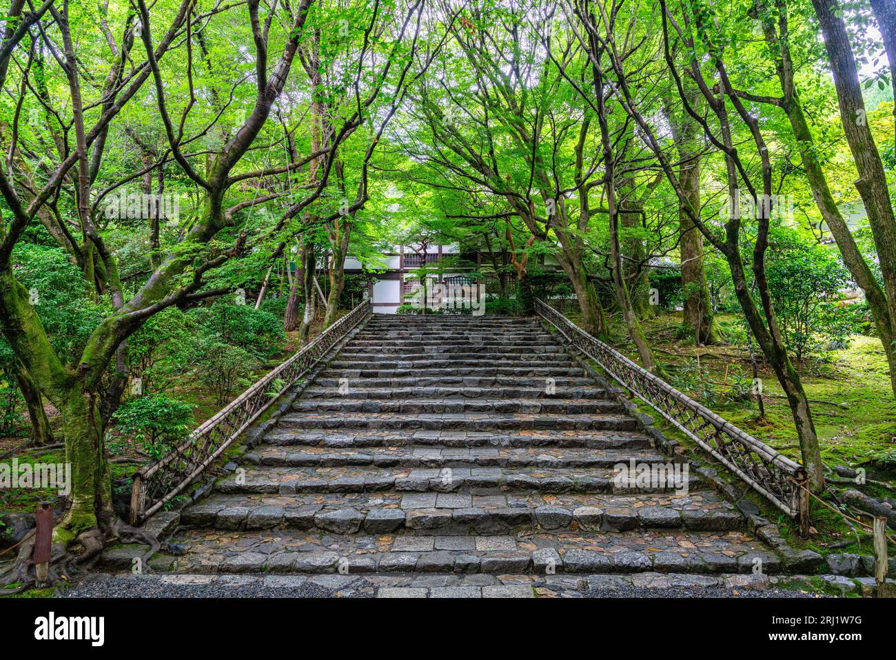 Vista panoramica nel bellissimo tempio Tenryu-ji di Kyoto. Giappone. Foto Stock