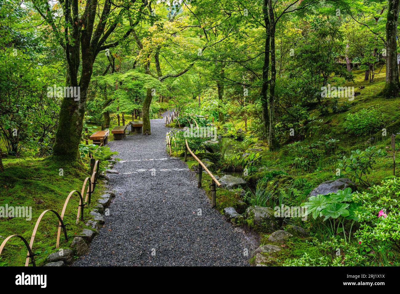 Vista panoramica nel bellissimo tempio Ryoan-ji di Kyoto. Giappone. Foto Stock