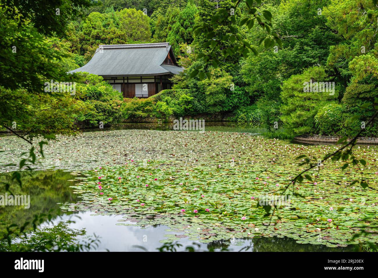 Vista panoramica nel bellissimo tempio Tenryu-ji di Kyoto. Giappone. Foto Stock