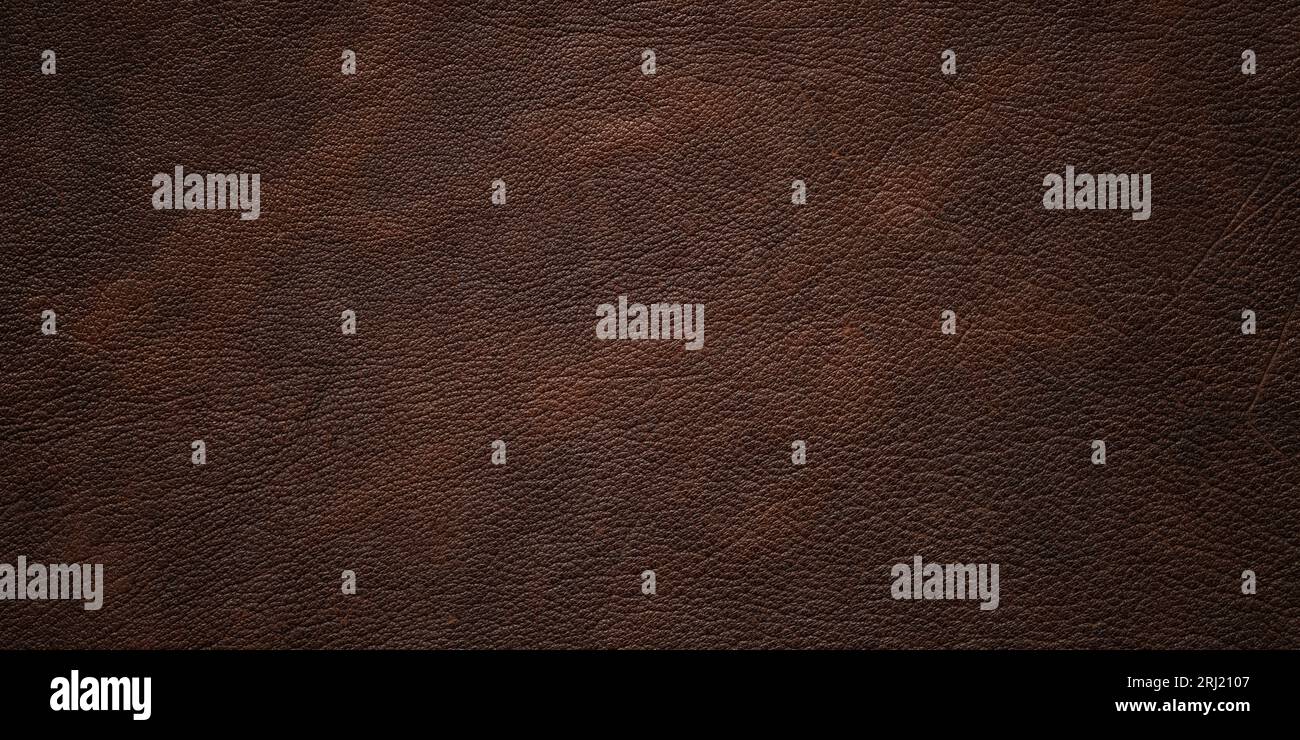 pelle di lusso con motivo genuino, sfondo marrone Foto Stock
