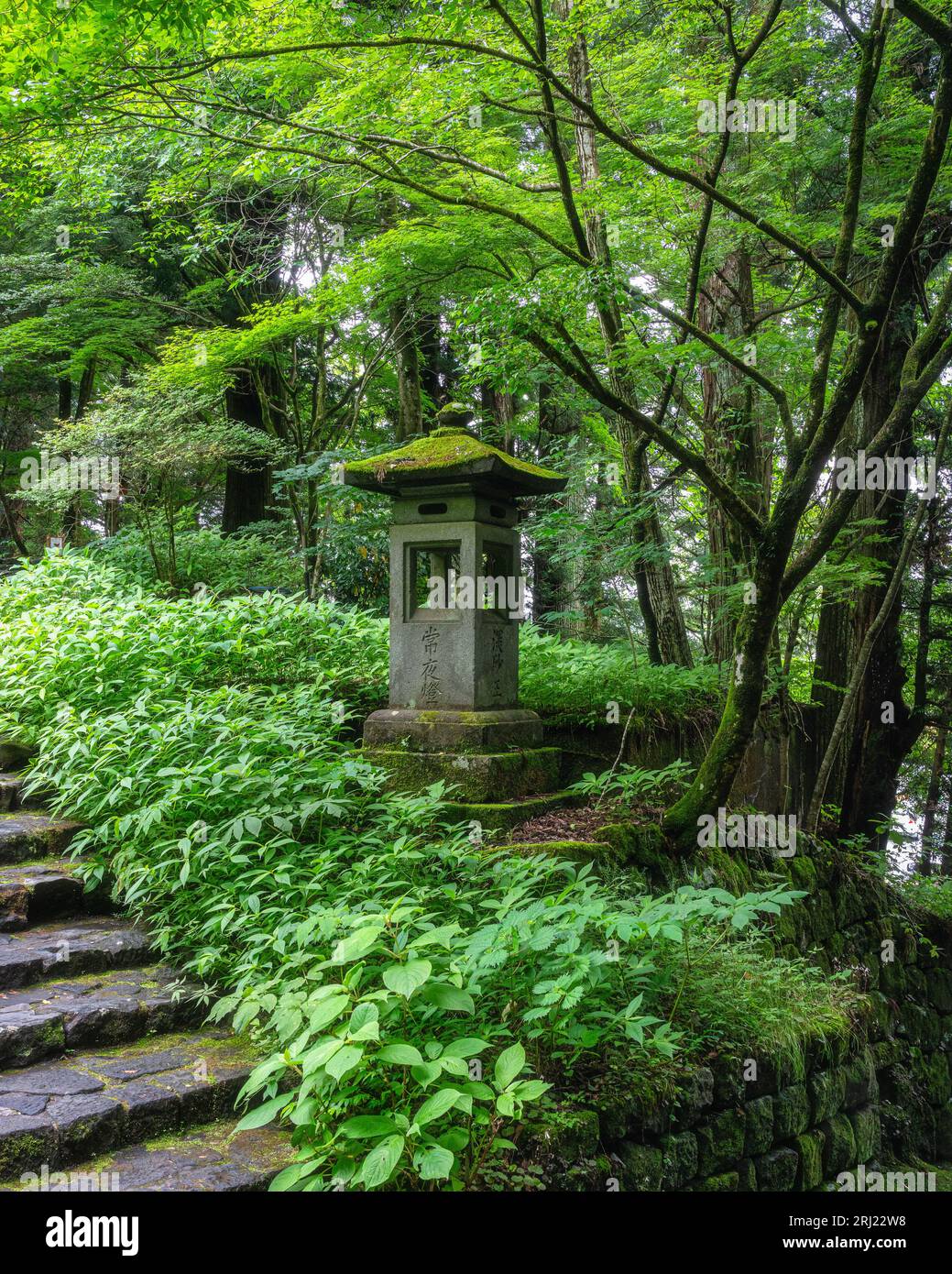 Vista panoramica nel Santuario Tosho-GU a Nikko. Prefettura di Tochigi, Giappone. Foto Stock