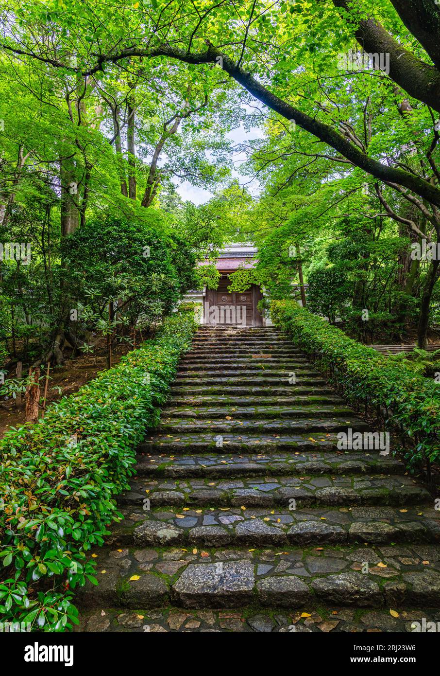 Vista panoramica nel bellissimo tempio Tenryu-ji di Kyoto. Giappone. Foto Stock