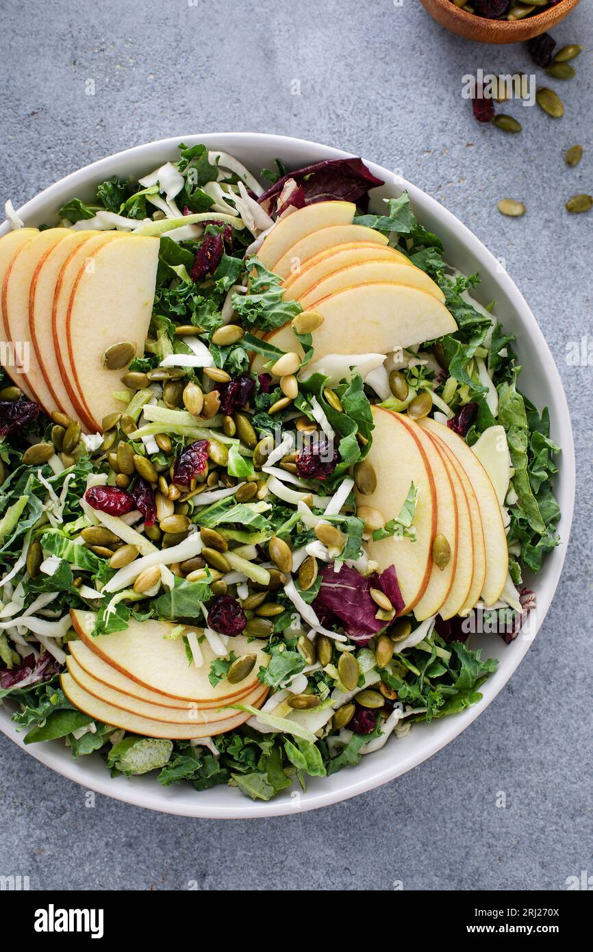 Insalata autunnale con cavolo, cavolo e mele, condita con semi di zucca e mirtillo rosso essiccato e servita con condimento per semi di papavero Foto Stock