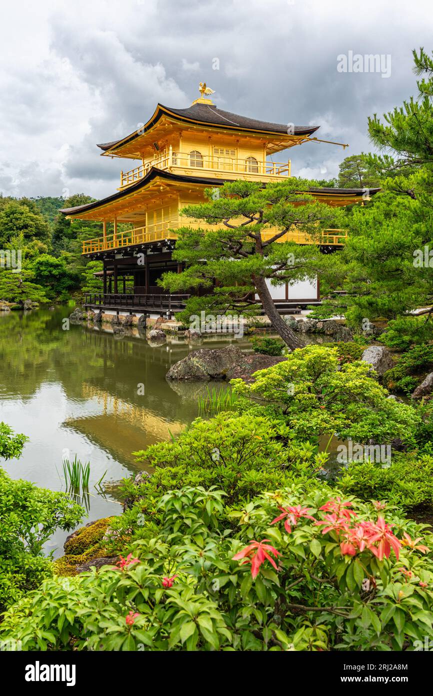 Vista panoramica con il meraviglioso padiglione dorato del Tempio Kinkaku-ji di Kyoto. Giappone. Foto Stock