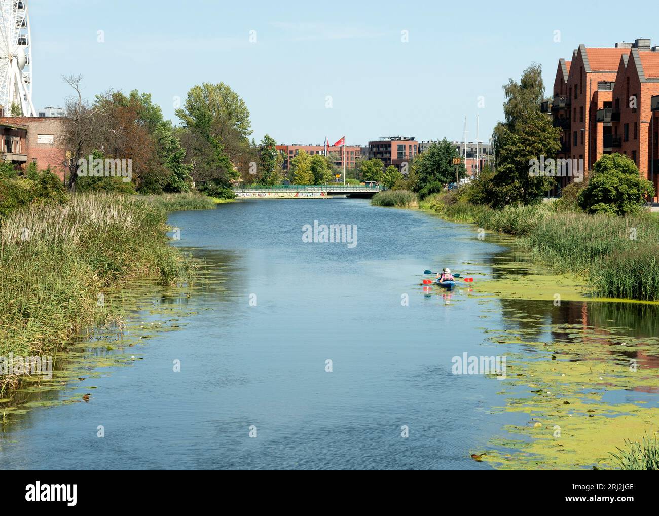 Kayak sul canale di Stepka o Kanał na Stępce presso l'isola di Ołowianka e nuovi edifici residenziali a Danzica, Polonia, Europa, UE Foto Stock