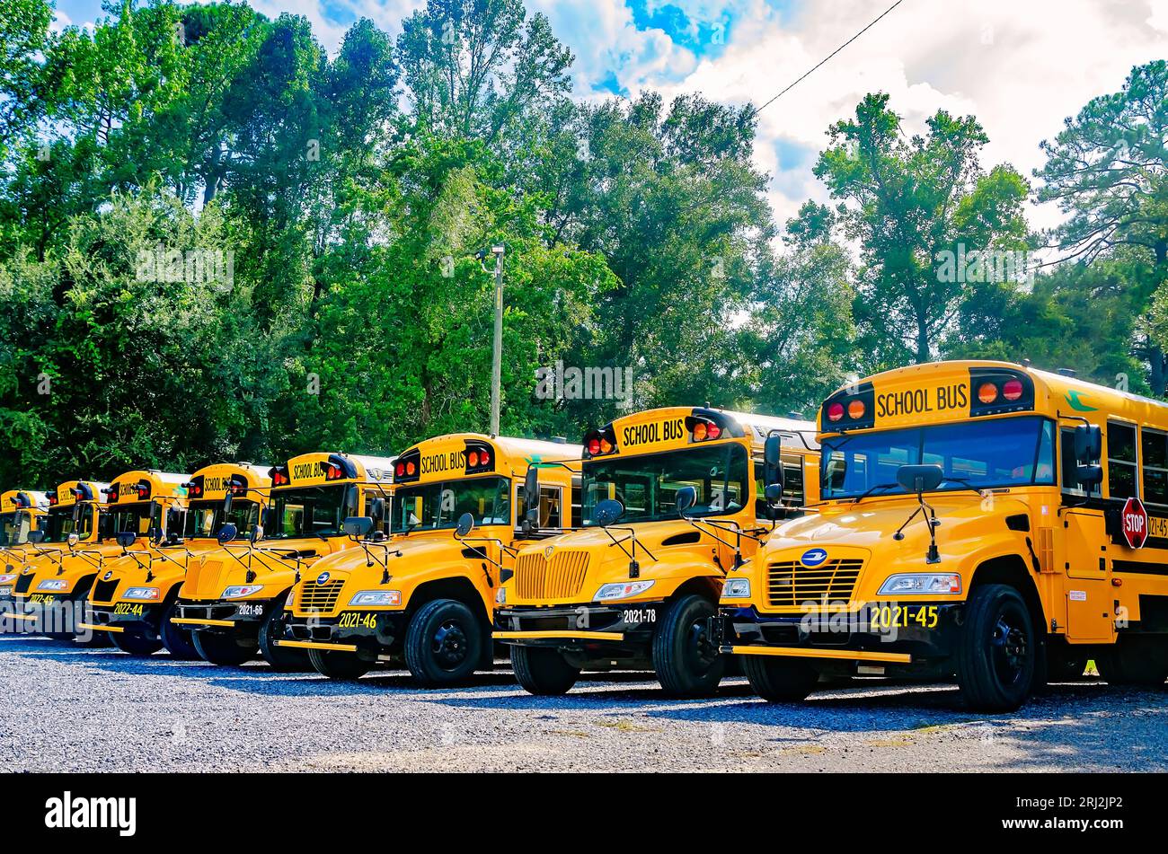 Gli scuolabus sono allineati al di fuori della Tanner Williams Elementary School, 16 agosto 2023, a Wilmer, Alabama. Foto Stock