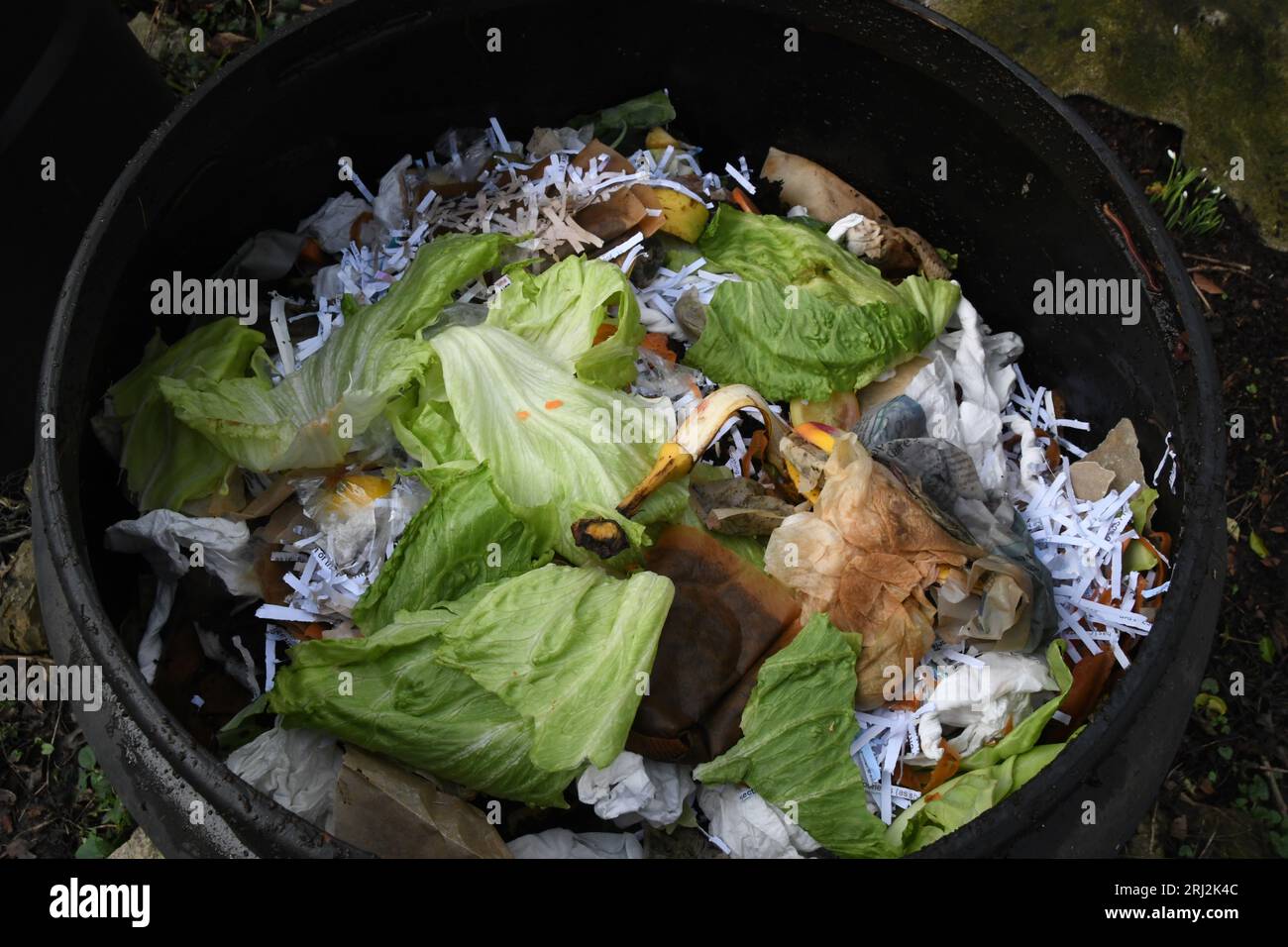 Il contenuto di un bidone di compost di plastica su un'assegnazione. Creato dai rifiuti domestici, peelings vegetali, caffè macinato e foglie di tè, carta, f Foto Stock