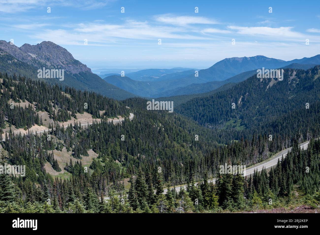 Road to Hurricane Ridge attraverso le montagne dell'Olympic National Park, Washington sotto il soleggiato paesaggio nuvoloso estivo. Foto Stock