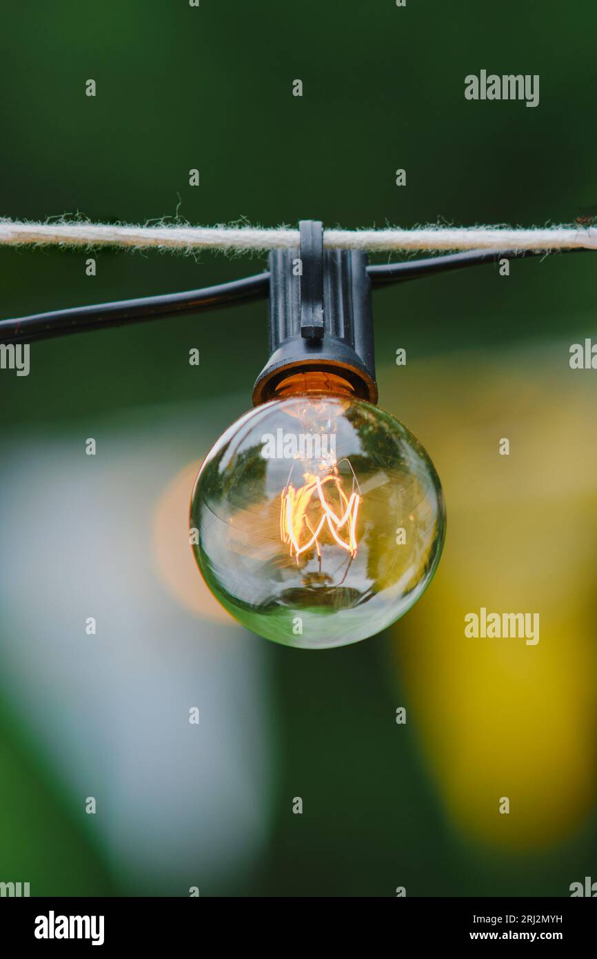 La luce illuminata in natura simboleggia il potere dell'innovazione e della tecnologia. Foto Stock