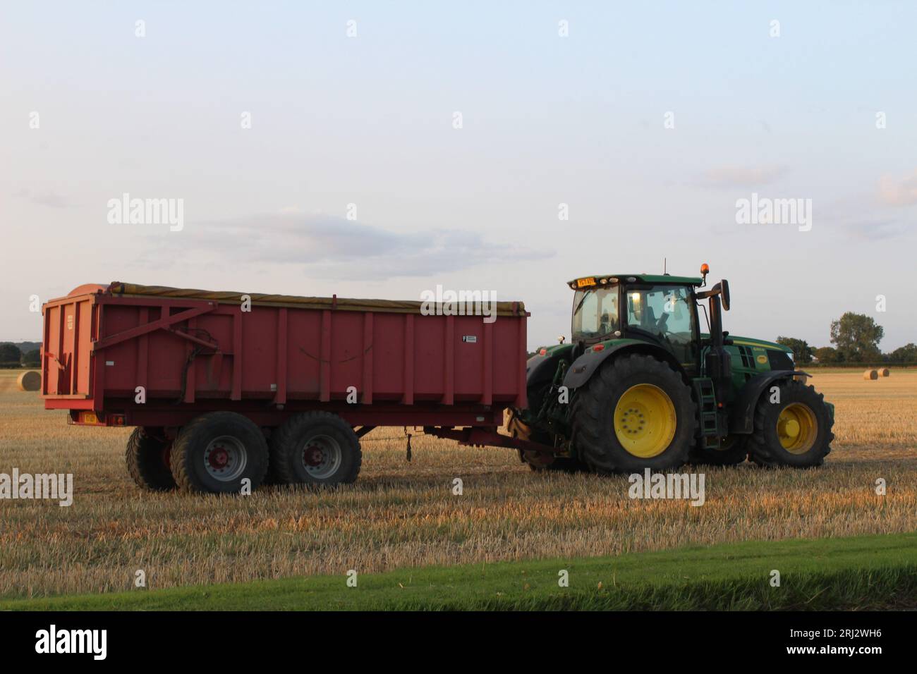 Trattore e rimorchio che lavorano in terreni agricoli durante una serata estiva vicino a Selby North Yorkshire, nel Regno Unito Foto Stock