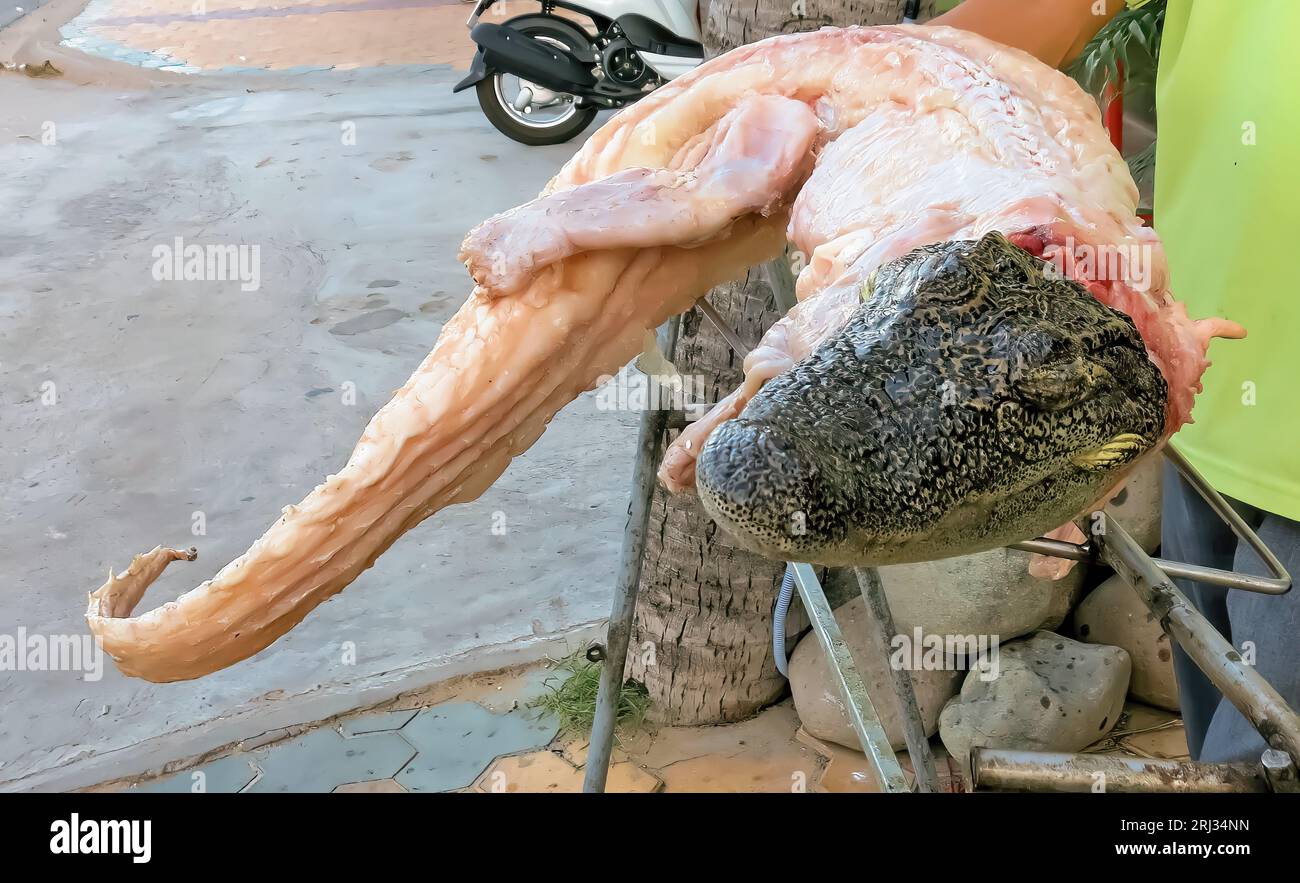 Cibo vietnamita esotico - corpo di coccodrillo siamese con pelle intera preparato per barbecue al ristorante - Vietnam, Saigon Foto Stock