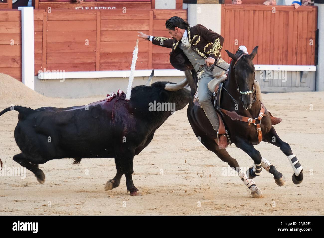 Il rejoneador Emiliano Gamero combatte contro il toro durante una corrida de rejones nell'arena Las Ventas di Madrid. Madrid Spagna. 08/20/2023, Foto Stock