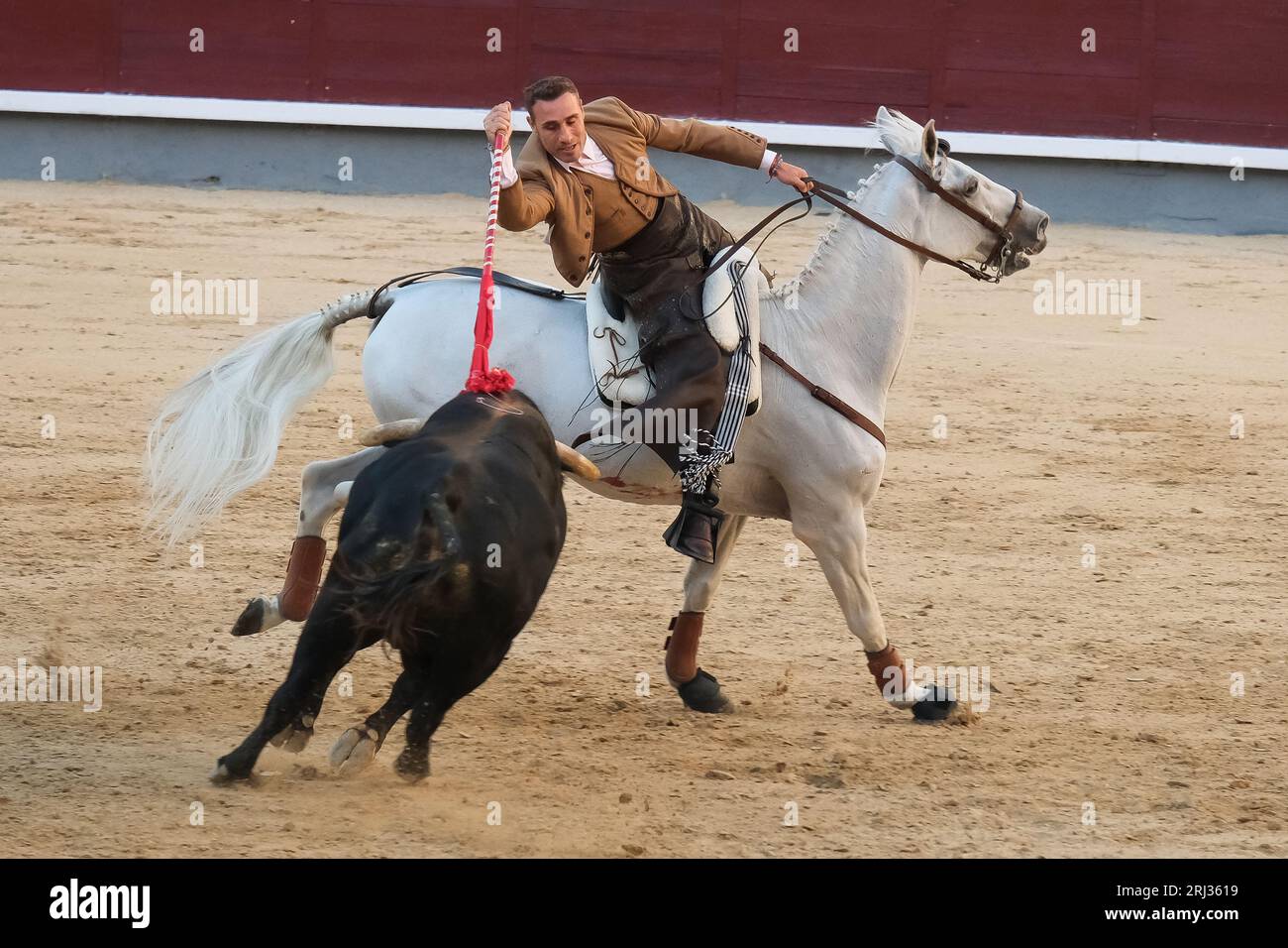 Il rejoneador Roberto Armendáriz combatte il toro durante una corrida de rejones nell'arena Las Ventas di Madrid. Madrid Spagna. 08/20/2023, Foto Stock