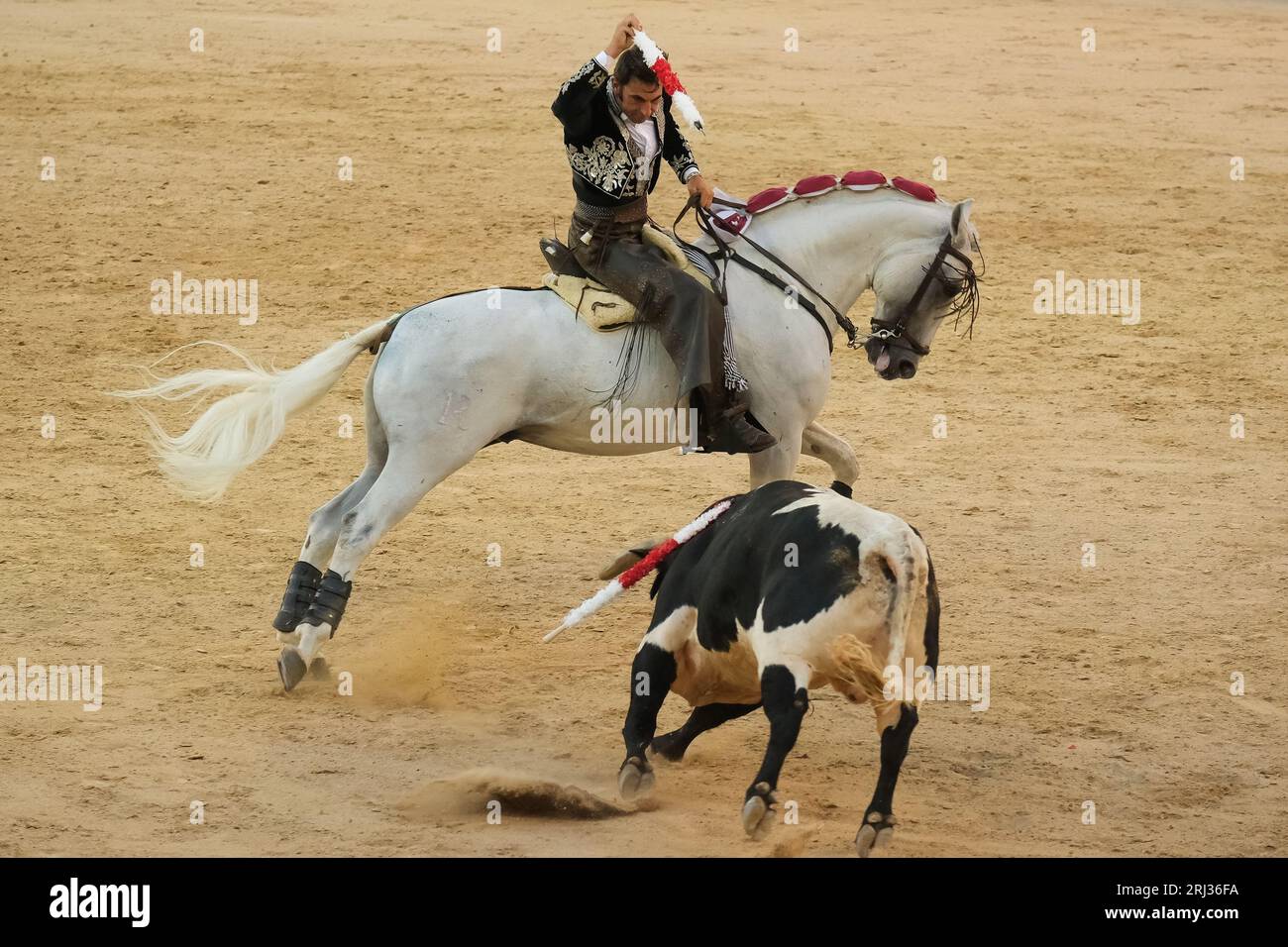 Il rejoneador Iván Magro combatte il toro durante una corrida de rejones nell'arena Las Ventas di Madrid. Madrid Spagna. 08/20/2023, Foto Stock