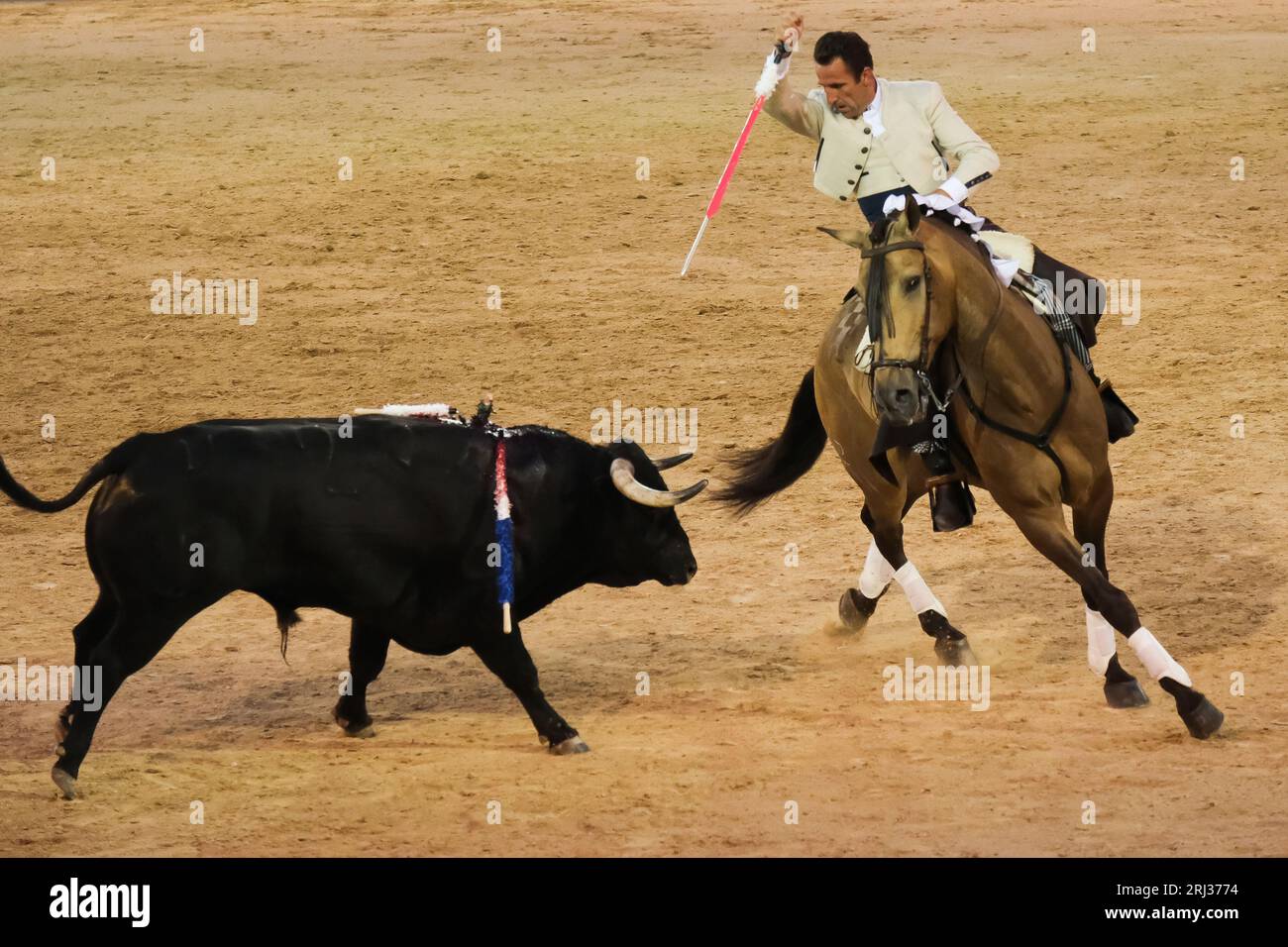 Il rejoneador Oscar Borjas combatte il toro durante una corrida de rejones nell'arena Las Ventas di Madrid. Madrid Spagna. 08/20/2023, Foto Stock