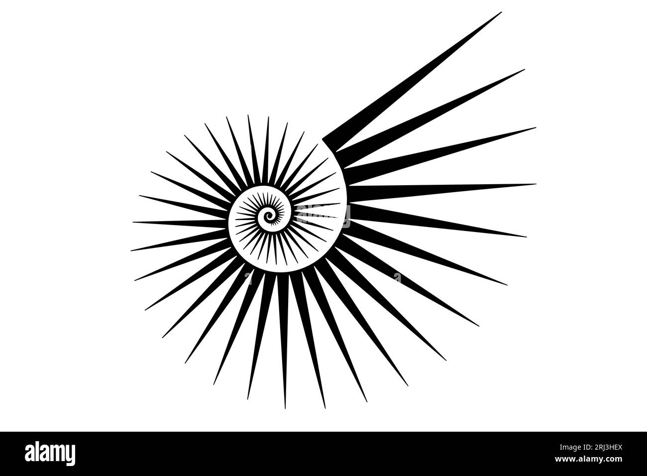 Fibonacci Golden ratio. Forme geometriche a spirale. Spirale di lumaca. Conchiglia marina di triangoli neri. Modello di logo sacro. Vettore isolato su sfondo bianco Illustrazione Vettoriale