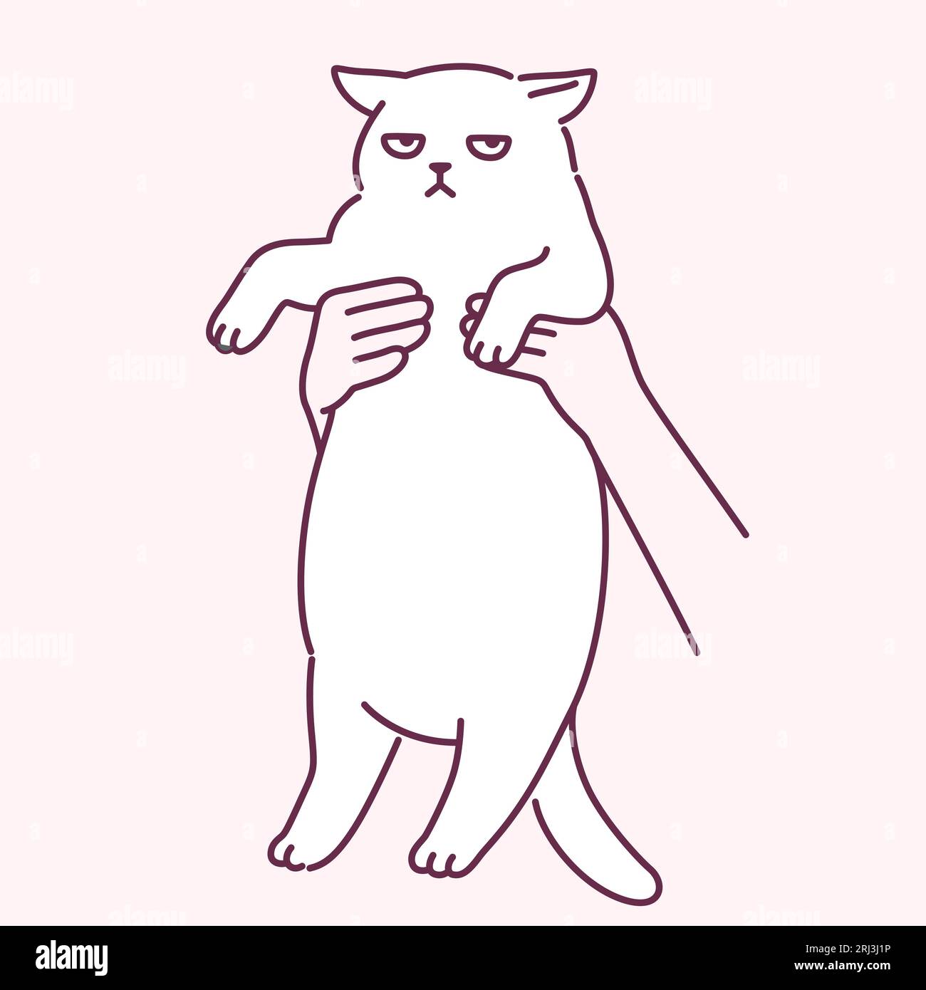 Mani che reggono gatto grasso dall'aspetto scontroso. Divertente disegno dei cartoni animati, simpatico e semplice illustrazione vettoriale. Chubby bianco gatto doodle. Illustrazione Vettoriale