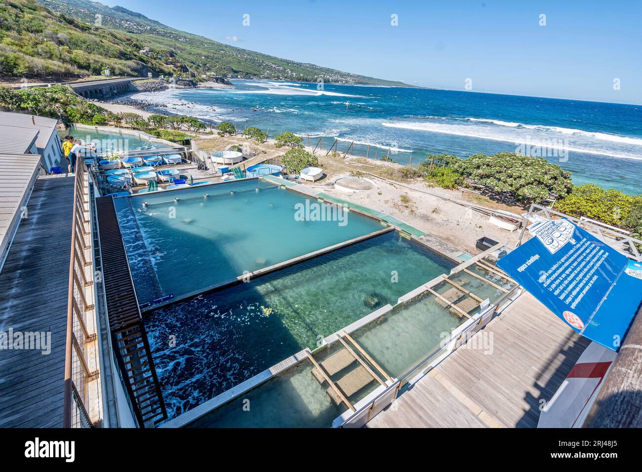 Kélonia, centro di cura delle tartarughe marine sull'isola di Réunion, dedicato alla riabilitazione, alla conservazione e all'educazione sulla protezione della vita marina. Foto Stock
