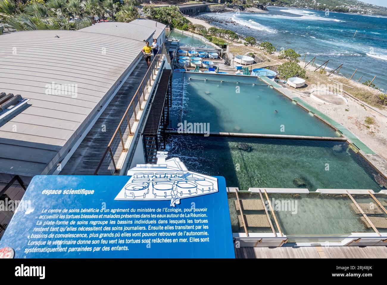 Kélonia, centro di cura delle tartarughe marine sull'isola di Réunion, dedicato alla riabilitazione, alla conservazione e all'educazione sulla protezione della vita marina. Foto Stock